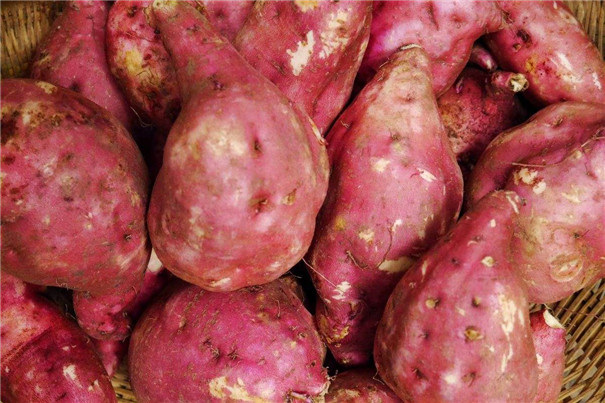 經(jīng)濟(jì)型紅薯淀粉生產(chǎn)線 經(jīng)濟(jì)型紅薯淀粉生產(chǎn)線