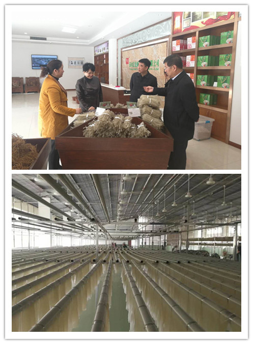 客戶實(shí)例 客戶實(shí)例